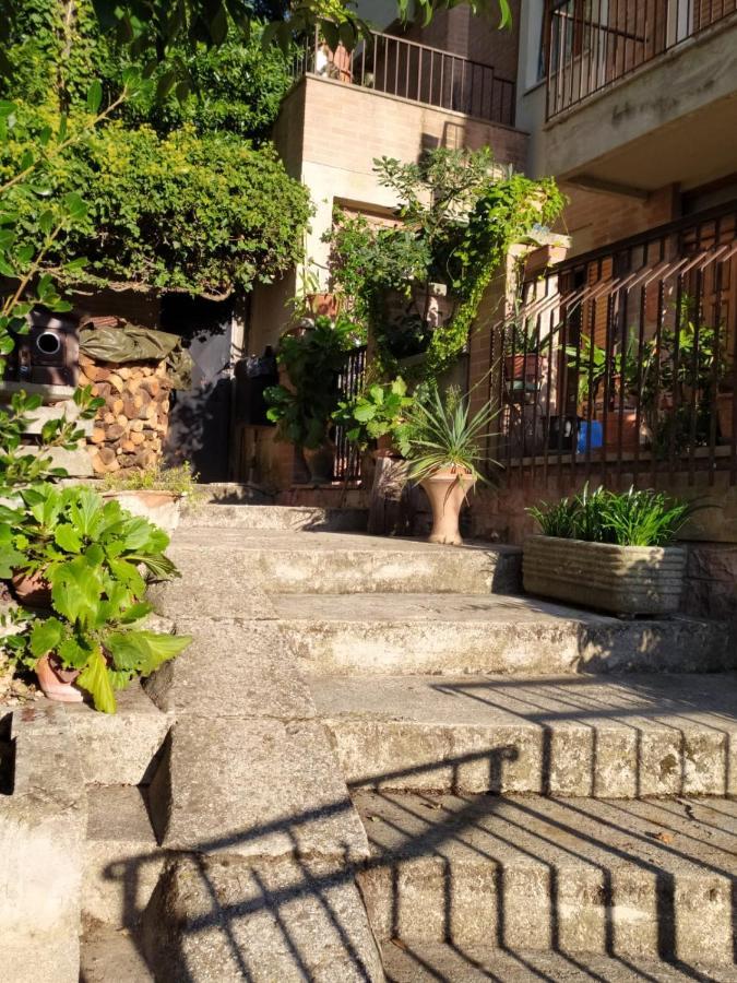מלון אסיסי Residenza Damiano מראה חיצוני תמונה